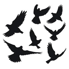 Obraz premium doves silhouette