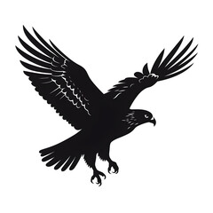 hawk silhouette