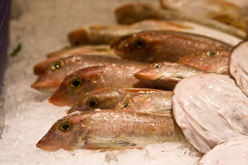 Fresh fish on ice at a market or fishmonger. Seafood, raw, and ready for cooking.