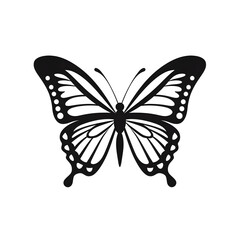 Fototapeta premium butterfly silhouette
