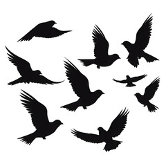 birds flight silhouette