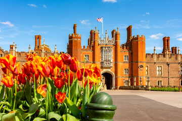 Tudor gatehouse of Hampton Court palace and spring tulips in Richmond, London, UK