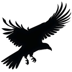 Obraz premium raven flying silhouette