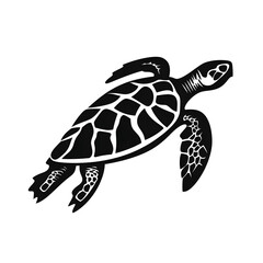 Fototapeta premium sea turtle silhouette