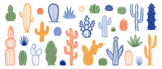 Succulent plant collection, cactus set, hand drawn vector collection
