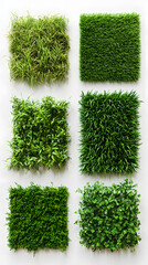 Different types of grass wall panels, in various styles and sizes
