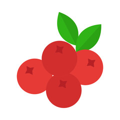 cranberry flat icon