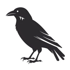 Obraz premium raven silhouette