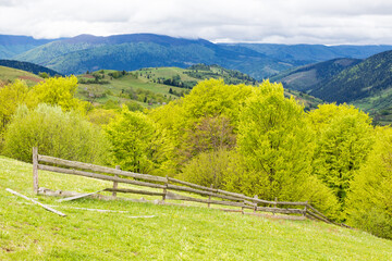 wooden fence near meadow on the hill. mountainous rural landscape of transcarpathia in spring....