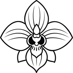 Black and White Orchid Flower Line Art Illustration with Detailed Symmetrical Botanical Design for Tattoos Coloring Pages Logos and Decorative Floral Vector Artwork
