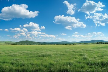 Obraz premium Beautiful green grass meadow and blue sky with clouds. Spring landscape background