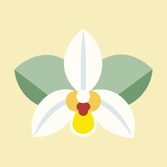 Orchid Flower Minimal Vector Illustration Modern Botanical Floral Art in Soft Pastel Colors Decorative Flat Digital Design for Prints Backgrounds and Graphic Design