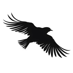 Obraz premium flying bird silhouette