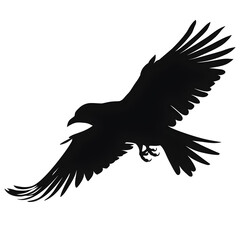 Obraz premium raven flight silhouette