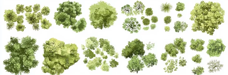 Stickers Wit A modern tree top view, isolated on a white background, designed for landscape plans and architectural layouts, ideal for garden and environmental elements.  © neiros