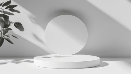 Shadow overlay effect on a transparent background, PNG format. Light and shadows filtering through a window. A mockup of a transparent shadow overlay with natural room lighting