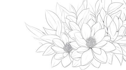 Botanical Arrangement with Detailed Floral Illustrations Depicting Elegant Magnolia Blossoms and Foliage