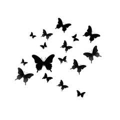 Fototapeta premium flying butterflies silhouette