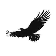 Obraz premium eagle flight silhouette
