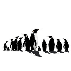 Obraz premium penguins silhouette