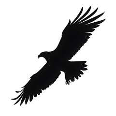 Obraz premium eagle flight silhouette