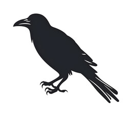 Fototapeta premium raven silhouette