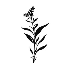 Obraz premium plant silhouette