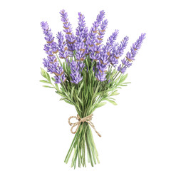 Obraz premium A lavender bouquet tied with rustic twine, soft purple hues, fresh green stems, transparent background, PNG