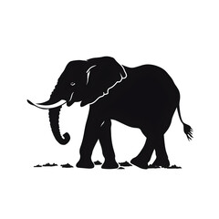 Fototapeta premium elephant art silhouette