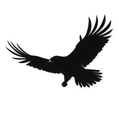 Obraz premium eagle flying silhouette