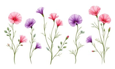 Colorful floral illustrations in pastel shades