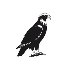 Fototapeta premium bald eagle silhouette