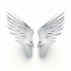 Obraz premium Elegant White Wings on Bright Background