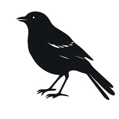Obraz premium bird clipart silhouette