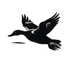 Fototapeta premium flying duck silhouette