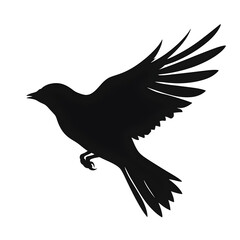 Obraz premium bird flight silhouette