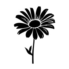 a daisy silhouette