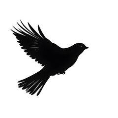 Obraz premium a bird flight silhouette