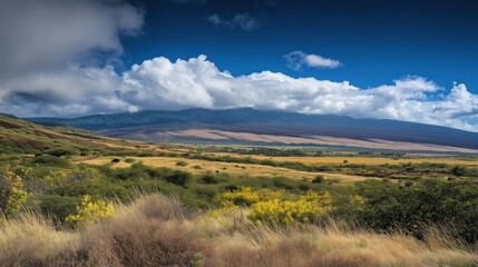 Obraz premium Hawaii Landscape Photography: Tropical, vibrant, and refreshing scenery captures the lush essence of island paradise.