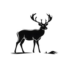 Fototapeta premium buck deer silhouette