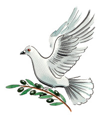 Obraz premium Flying dove. Hand drawn watercolour illustration