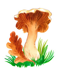 Mushroom and leaf. Hand drawn watercolour illustration