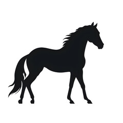 horse silhouette