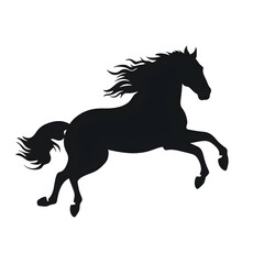 Obraz premium running horse silhouette