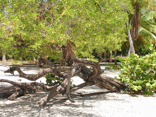 Venezuelan beach landscape showcasing iconic sombrero and natural scenery
