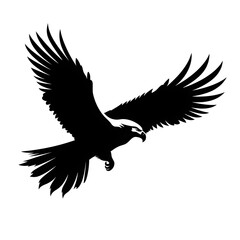 Obraz premium flying eagle silhouette