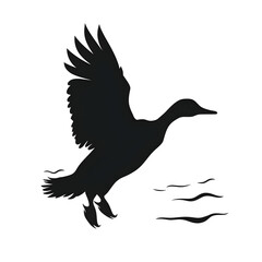 Obraz premium duck flight silhouette