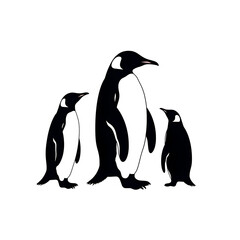 Naklejka premium penguins silhouette
