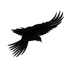 Fototapeta premium bird flying silhouette