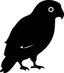 silhouette of a bird